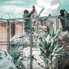 प्लास्टिक रीसाइक्लिंग